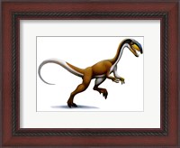 Framed Megapnosaurus