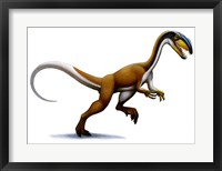 Framed Megapnosaurus