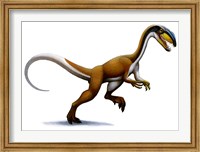 Framed Megapnosaurus