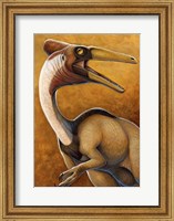 Framed Pelicanimimus
