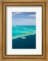 Framed Australia, Whitsunday Coast, Great Barrier Reef (vertical)
