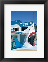 Framed Australia, Queensland, Hervey Bay, Shark Show