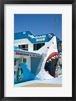 Framed Australia, Queensland, Hervey Bay, Shark Show
