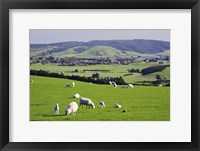 Framed Farmland at Milburn, South Otago, South Island, New Zealand