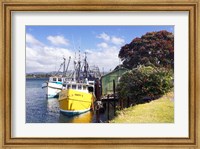 Framed Fishing Boats, Tauranga Harbor, Tauranga, New Zealand
