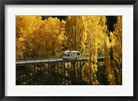 Framed Autumn Colors, Victoria Bridge, Kawarau Gorge, South Island, New Zealand