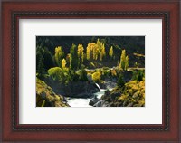 Framed Autumn Colours, Kawarau River, Kawarau Gorge, South Island, New Zealand