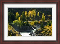 Framed Autumn Colours, Kawarau River, Kawarau Gorge, South Island, New Zealand
