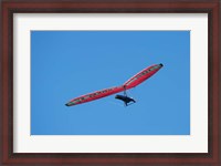 Framed Hang glider, Otago Peninsula, South Island, New Zealand