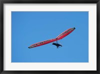 Framed Hang glider, Otago Peninsula, South Island, New Zealand