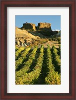 Framed Mt Difficulty Vineyard and Historic Sluicings, Bannockburn, South Island, New Zealand