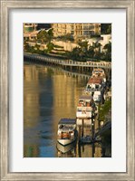 Framed Australia, Brisbane, Brisbane River Marina boats
