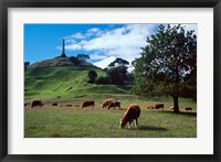 Framed Cows, One Tree Hill, Auckland