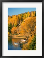 Framed Boats and Autumn Colours, Lake Dunstan, Central Otago, New Zealand