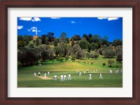 Framed Cornwall Cricket Club, Auckland, New Zealand