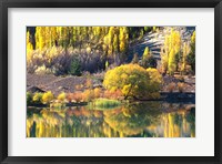 Framed Autumn Colours, Lake Dunstan, Central Otago, New Zealand