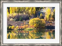Framed Autumn Colours, Lake Dunstan, Central Otago, New Zealand