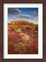 Framed Australia, Uluru-Kata Tjuta NP, Red desert, Ayers Rock