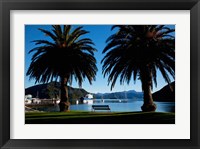 Framed Picton, Marlborough, South Island, New Zealand