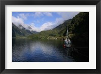 Framed Doubtful Sound, South Island, New Zealand