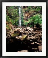 Framed Erskine Falls, Lorne, Victoria, Australia