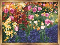 Framed English Tulips