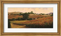 Framed Carneros Vineyards