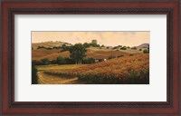 Framed Carneros Vineyards