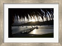 Framed Waikawa Bay, near Picton, Marlborough Sounds, South Island, New Zealand