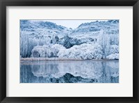 Framed Reflections and Hoar Frost, Butchers Dam, near Alexandra, Central Otago, South Island, New Zealand