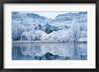 Framed Reflections and Hoar Frost, Butchers Dam, near Alexandra, Central Otago, South Island, New Zealand