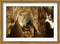 Framed Aranui Cave, Waitomo, North Island, New Zealand