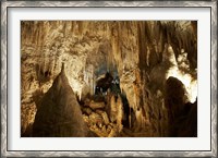 Framed Aranui Cave, Waitomo, North Island, New Zealand