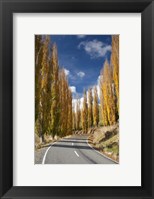 Framed Autumn, Rangitikei District, North Island, New Zealand