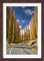 Framed Autumn, Rangitikei District, North Island, New Zealand