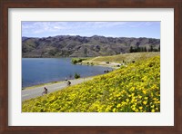 Framed Californian Poppies and Cyclists, Lake Dunstan, South Island, New Zealand