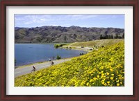 Framed Californian Poppies and Cyclists, Lake Dunstan, South Island, New Zealand