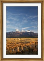Framed Farm Scene, Mt Ruapehu, North Island, New Zealand
