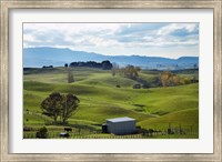 Framed Farmland, Napier, Taihape Road, Hawkes Bay, North Island, New Zealand