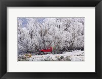 Framed Four Wheel Drive and Hoar Frost, Sutton, Otago, South Island, New Zealand