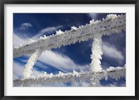 Framed Frosty Wire Fence, Otago, South Island, New Zealand