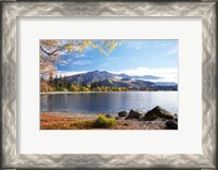 Framed Glendhu Bay, Lake Wanaka, Otago, South Island, New Zealand