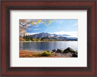 Framed Glendhu Bay, Lake Wanaka, Otago, South Island, New Zealand
