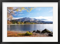 Framed Glendhu Bay, Lake Wanaka, Otago, South Island, New Zealand