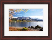 Framed Glendhu Bay, Lake Wanaka, Otago, South Island, New Zealand