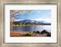 Framed Glendhu Bay, Lake Wanaka, Otago, South Island, New Zealand