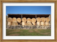 Framed Hay Barn, Ahuriri Valley, North Otago, South Island, New Zealand