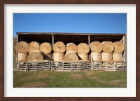 Framed Hay Barn, Ahuriri Valley, North Otago, South Island, New Zealand
