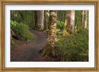Framed Kepler Track, Fjordland National Park, South Island, New Zealand