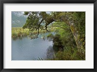 Framed Mirror Lakes, Milford Road, Fiordland, South Island, New Zealand